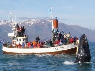excursiones desde H&uacute;sav&iacute;k - barco