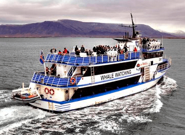 barco Andrea - Reykjavik