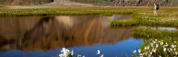 trekking de Landmannalaugar