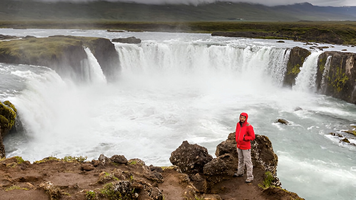 Museo de ballenas en Reykjavik