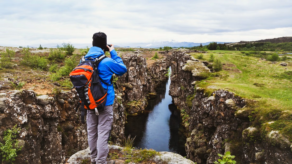 golden-circle-tomato-farm