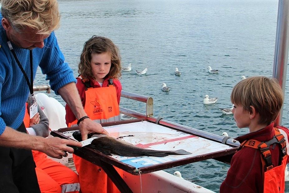 Pesca en Húsavík