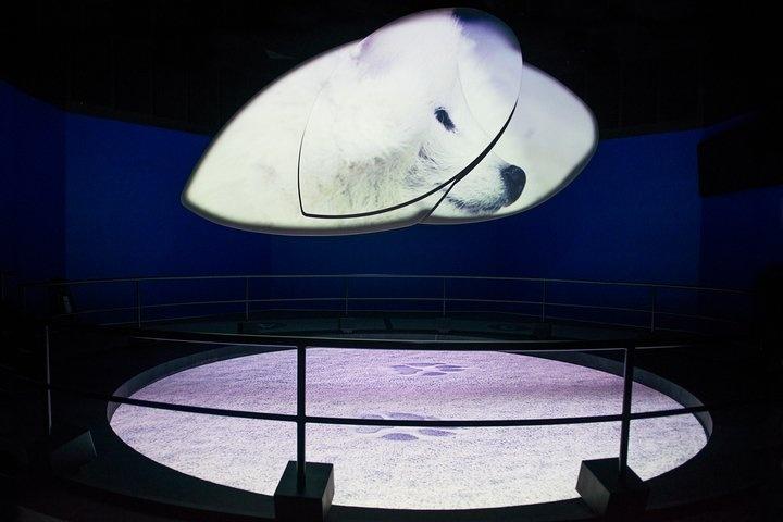 FlyOver-Iceland-Reykjavik