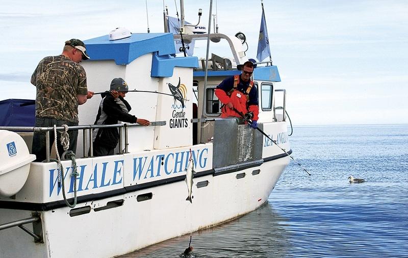 pesca caña husavik