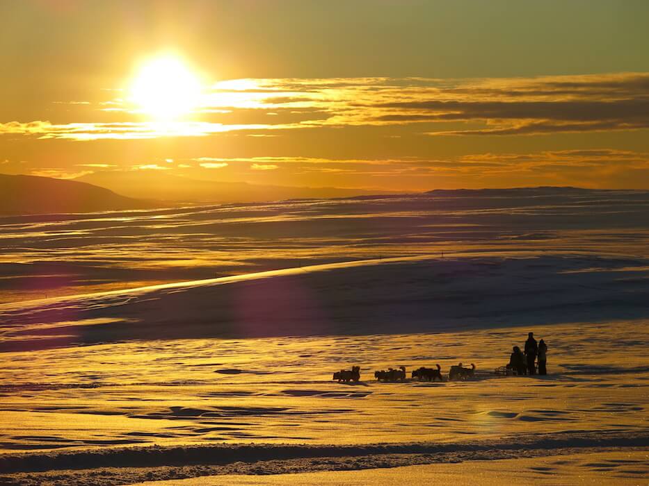 dogsledding-on-iceland