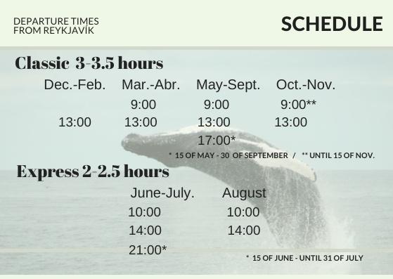 whale watching time schedule for whale watching tours from Reykjavik