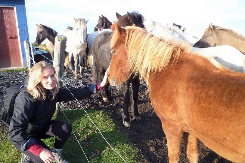 Excursiones a caballo en Islandia