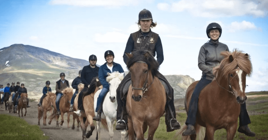 caballos excursion islandia
