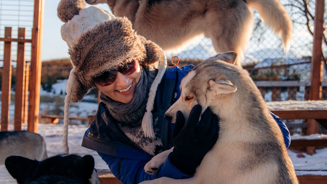 husky-experience-akureyri-tour