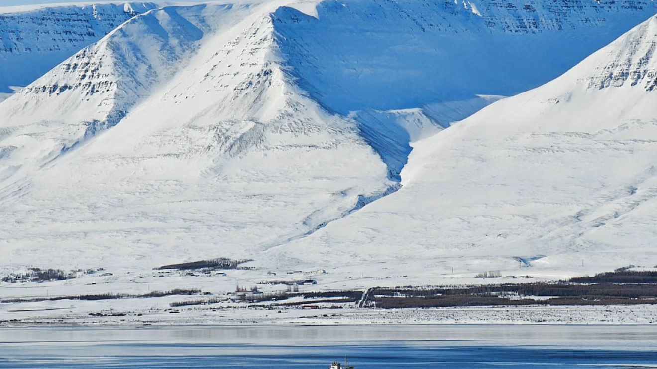 iceland-winter-northern-lights-huskies