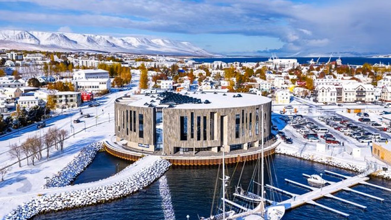 northern-lights-tour-husky-adventure