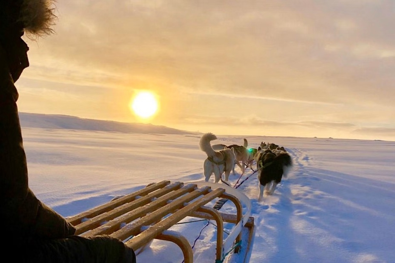 excursion-trineo-de-perros-nieve-islandia
