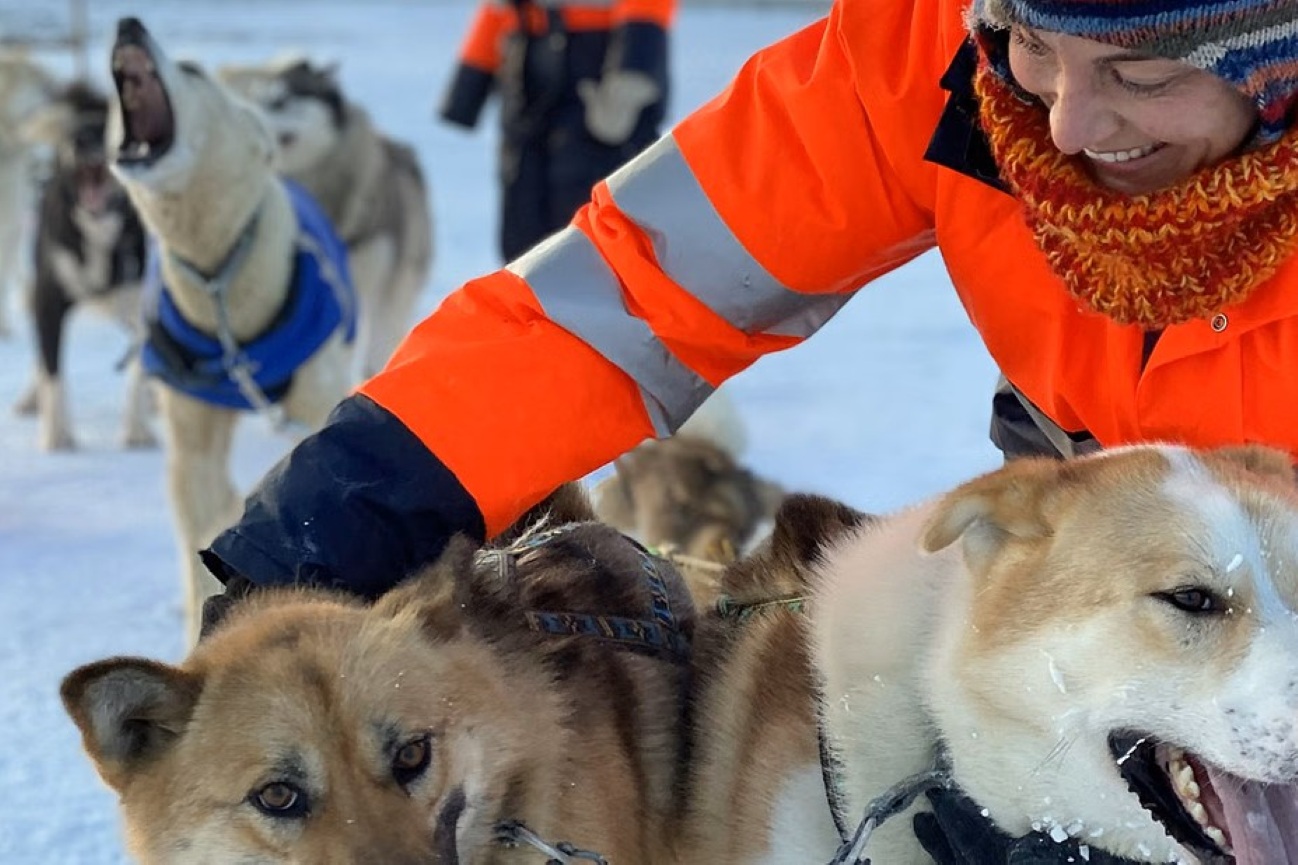 paseo-trineo-de-perros-huskies-desde-reykjavik