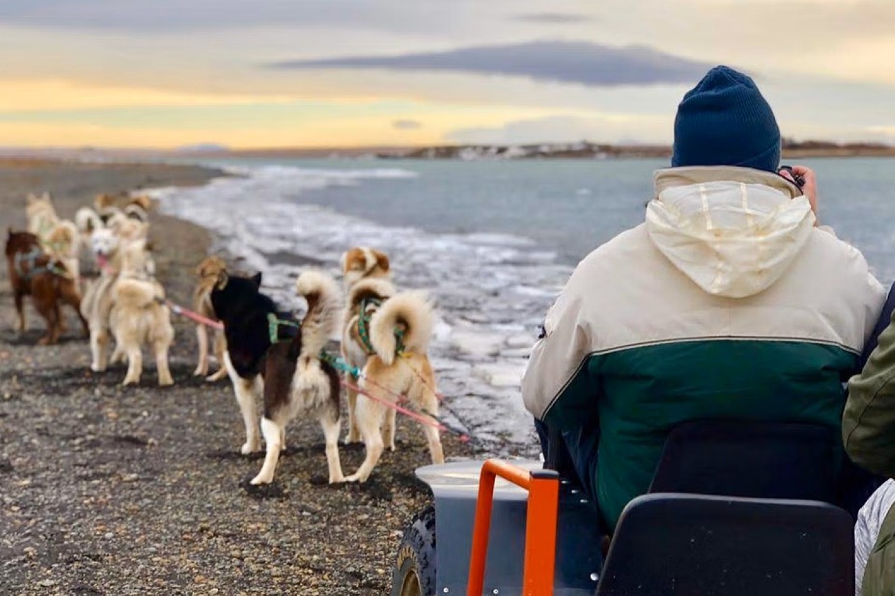 trineo-de-perros-reykjavik-excursion-invierno